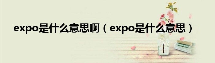 expo是什么意思啊（expo是什么意思）