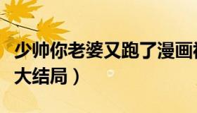 少帅你老婆又跑了漫画视频（少帅你老婆又跑大结局）