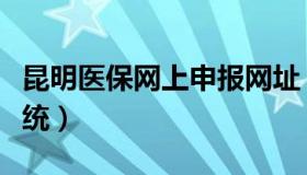 昆明医保网上申报网址（昆明医保网上申报系统）
