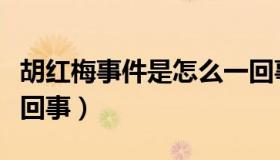 胡红梅事件是怎么一回事（胡红梅事件是怎么回事）