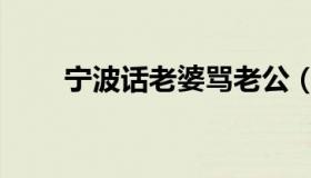 宁波话老婆骂老公（宁波话翻译器）