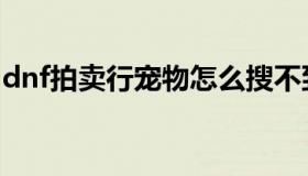 dnf拍卖行宠物怎么搜不到（dnf拍卖行宠物）