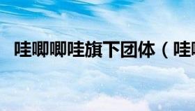 哇唧唧哇旗下团体（哇唧唧哇旗下的明星）