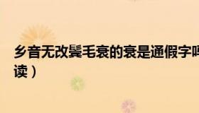 乡音无改鬓毛衰的衰是通假字吗（乡音无改鬓毛衰的衰怎么读）