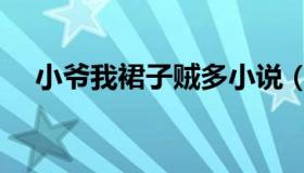 小爷我裙子贼多小说（小爷我裙子贼多）