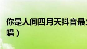 你是人间四月天抖音最火（你是人间四月天原唱）