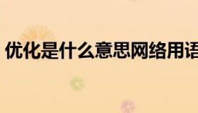 优化是什么意思网络用语（优化是什么意思）