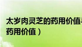 太岁肉灵芝的药用价值与功效（太岁肉灵芝的药用价值）