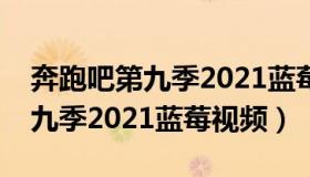 奔跑吧第九季2021蓝莓视频下载（奔跑吧第九季2021蓝莓视频）
