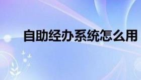 自助经办系统怎么用（自助经办系统）