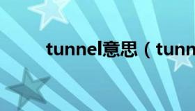 tunnel意思（tunnel是什么意思）