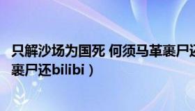 只解沙场为国死 何须马革裹尸还（只解沙场为国死何须马革裹尸还bilibi）