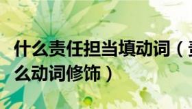 什么责任担当填动词（责任担当前面一般用什么动词修饰）