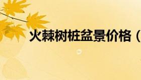 火棘树桩盆景价格（火棘盆景价格）