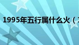 1995年五行属什么火（1995年五行属什么）