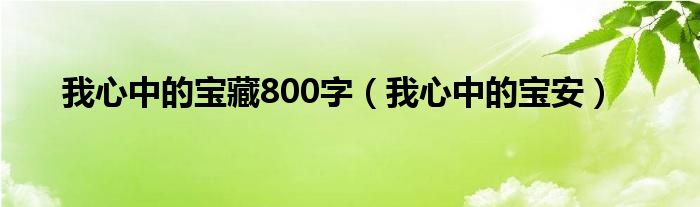 我心中的宝藏800字（我心中的宝安）