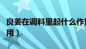 良姜在调料里起什么作用（良姜在调料中的作用）
