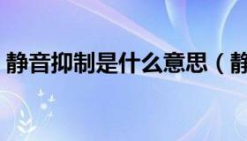 静音抑制是什么意思（静音抑制是什么意思）