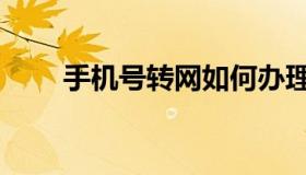 手机号转网如何办理（手机号转网）