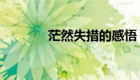 茫然失措的感悟（茫然失措）