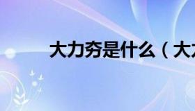 大力夯是什么（大力是什么字夯）