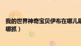 我的世界神奇宝贝伊布在哪儿刷（我的世界神奇宝贝伊布在哪抓）