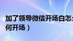 加了领导微信开场白怎么说（加了领导微信如何开场）
