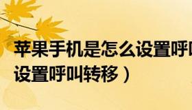 苹果手机是怎么设置呼叫转移（苹果手机怎么设置呼叫转移）