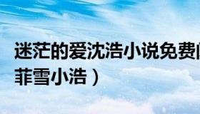 迷茫的爱沈浩小说免费阅读（迷茫的爱小说秦菲雪小浩）
