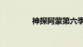 神探阿蒙第六季（阿蒙神）