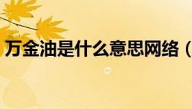 万金油是什么意思网络（万金油是什么意思）