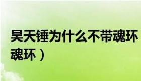 昊天锤为什么不带魂环（昊天锤为什么不能加魂环）