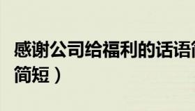 感谢公司给福利的话语简短（感谢公司的话语简短）