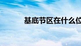基底节区在什么位置（基底节）