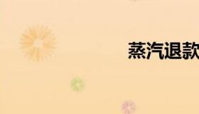 蒸汽退款申请