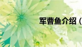 军曹鱼介绍（军曹鱼）