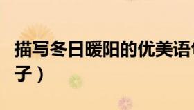 描写冬日暖阳的优美语句（描写冬日暖阳的句子）