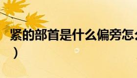 紧的部首是什么偏旁怎么读（紧的部首是什么）