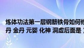 炼体功法第一层钢筋铁骨如何修炼（炼体 炼骨 炼气 虚丹 实丹 金丹 元婴 化神 洞虚后面是）