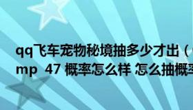 qq飞车宠物秘境抽多少才出（QQ飞车抽宠物大礼包几率 amp  47 概率怎么样 怎么抽概率高）