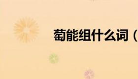 萄能组什么词（萄京娱乐）