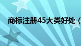 商标注册45大类好处（商标注册45大类）