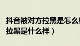 抖音被对方拉黑是怎么样的状态（抖音被对方拉黑是什么样）