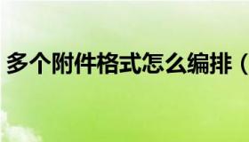 多个附件格式怎么编排（多个附件格式范文）