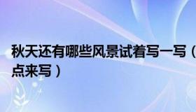 秋天还有哪些风景试着写一写（秋天的景色小练笔 抓住一个点来写）