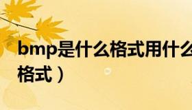 bmp是什么格式用什么软件读（bmp是什么格式）