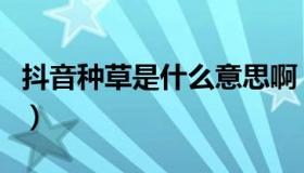 抖音种草是什么意思啊（抖音种草是什么意思）