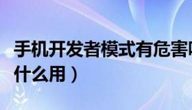 手机开发者模式有危害吗（手机开发者模式有什么用）