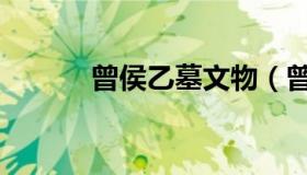 曾侯乙墓文物（曾侯乙墓外棺）