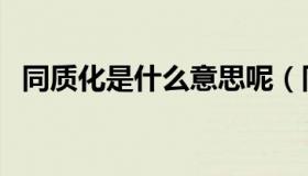 同质化是什么意思呢（同质化是什么意思）